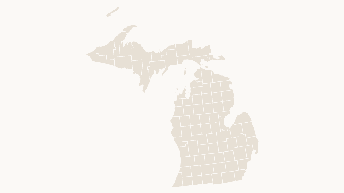 Michigan Counties map preview in the editorial theme