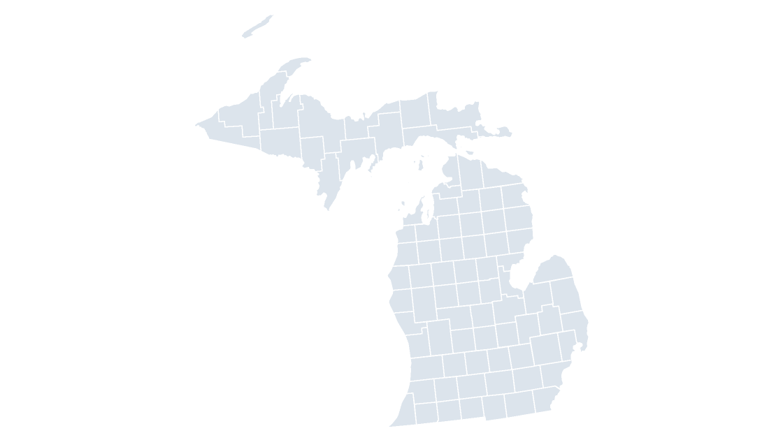Michigan Counties map preview