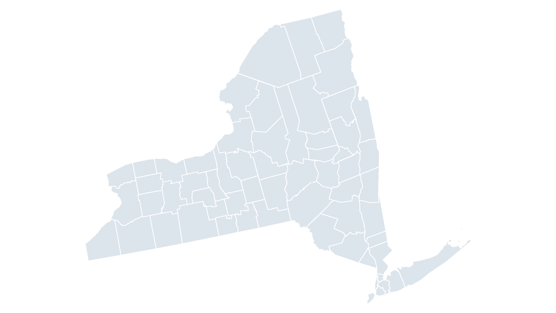 New York Counties map preview