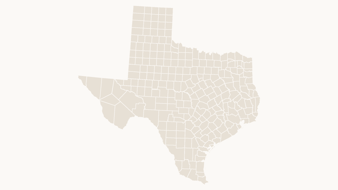 Texas Counties map preview in the editorial theme