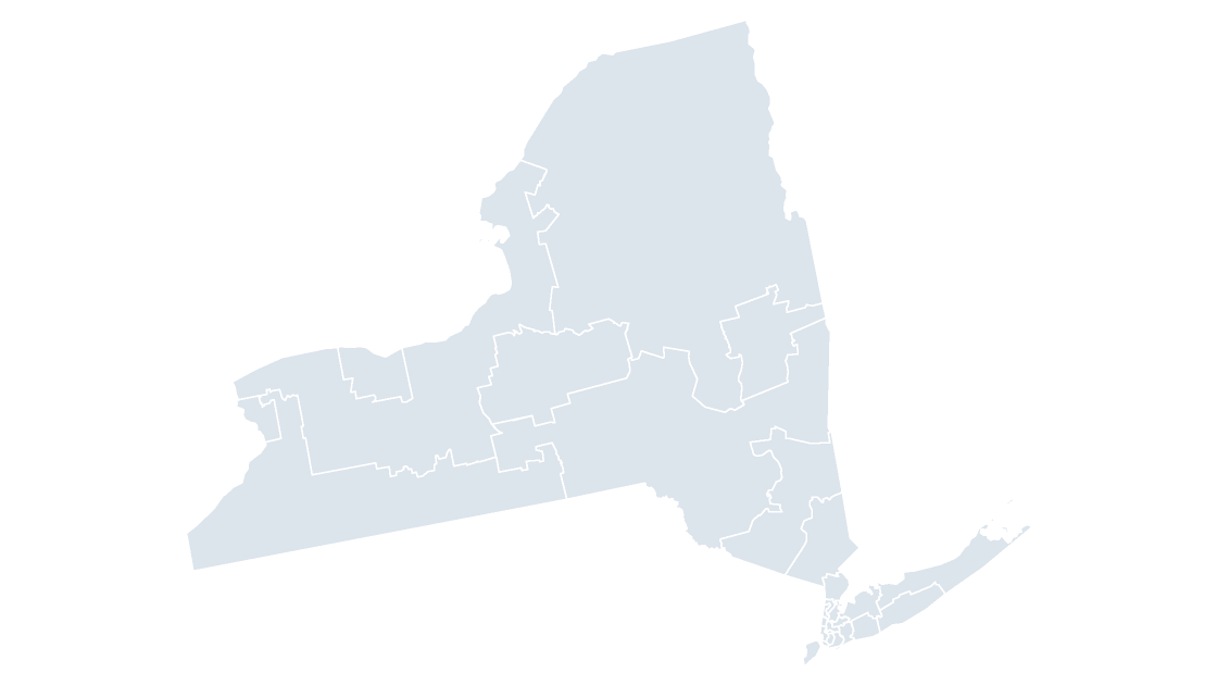 New York Congressional Districts map preview