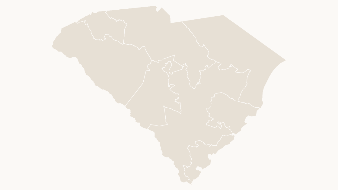 South Carolina Congressional Districts map preview in the editorial theme