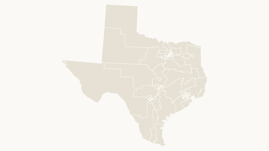 Texas Congressional Districts map preview in the editorial theme